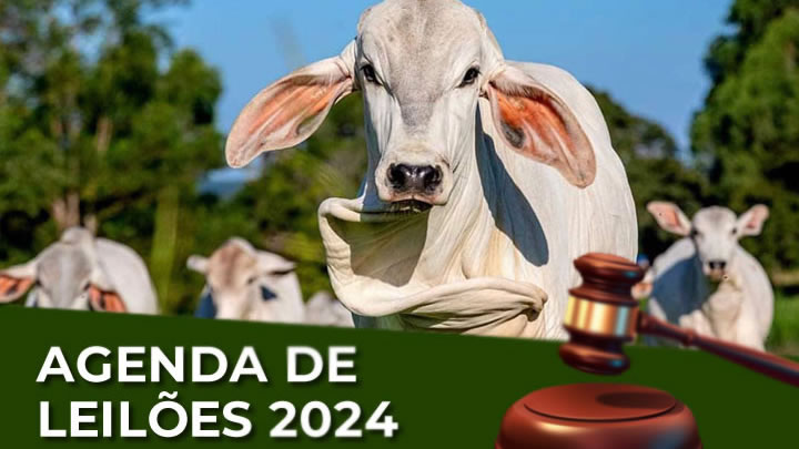 Agenda de Leilões 2024