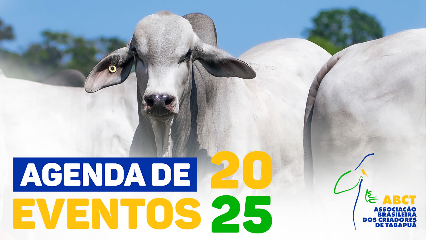 Agenda de Leilões 2025