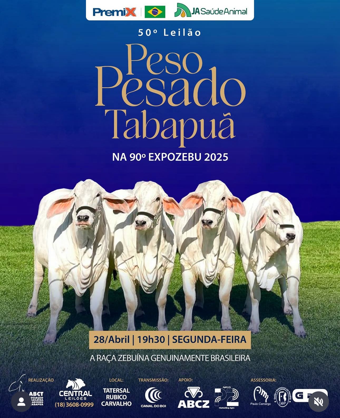 Fotos Leilão Peso Pesado