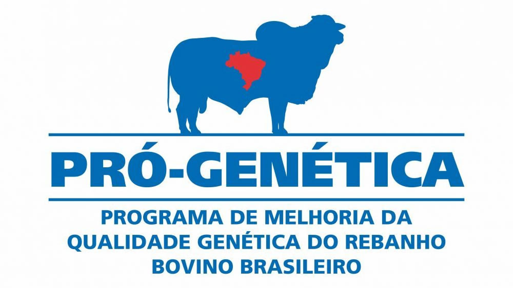 Feira de Touros Pró-Genética em Terra Nova do Norte (MT)